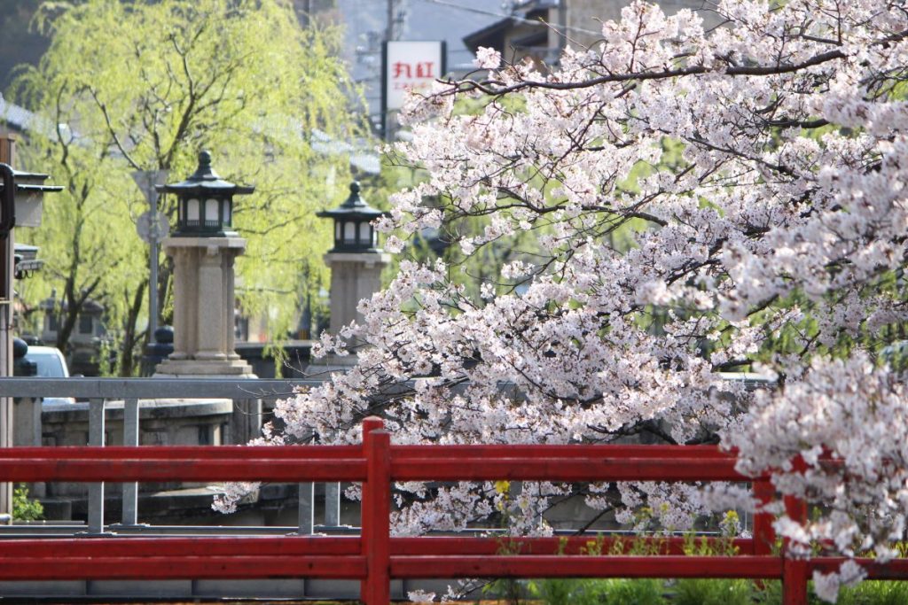 城崎温泉 旅館 桜