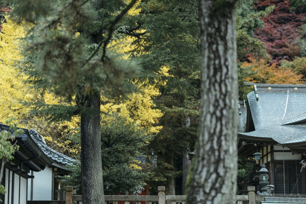 秋の城崎温泉で楽しむゆかたでのまち歩き