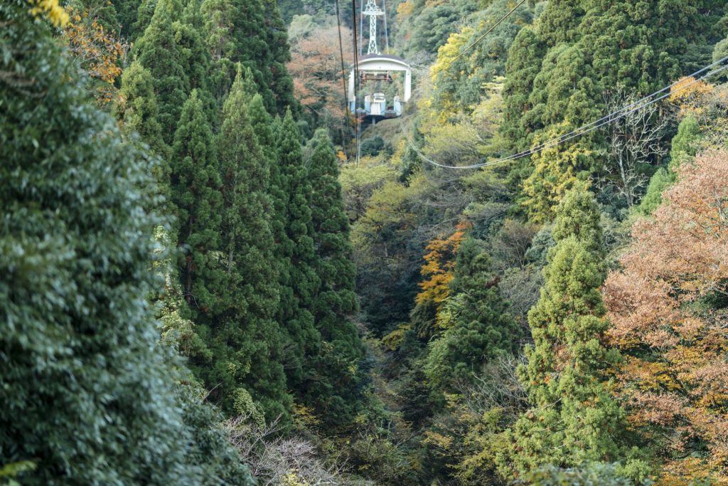 秋の紅葉に包まれた城崎温泉ロープウェイ