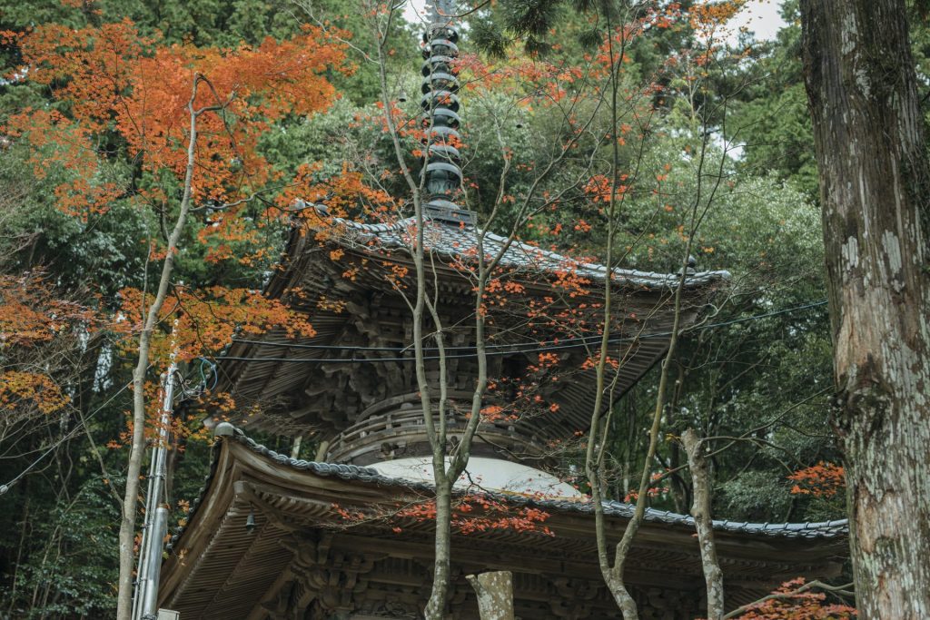 紅葉に囲まれた温泉寺