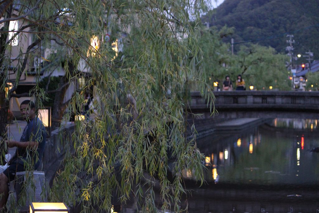 夕暮れの城崎温泉で柳並木と川面に灯りが映る風景